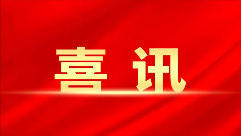 公司新闻